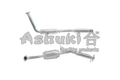 Катализатор для переоборудования ASHUKI купить