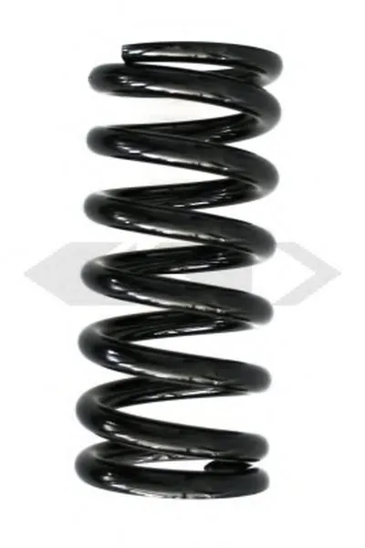 винтовая пружина SPIDAN купить