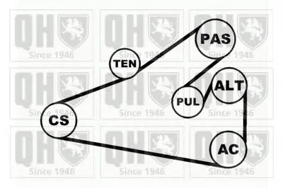 Поликлиновой ременный комплект QUINTON HAZELL купить