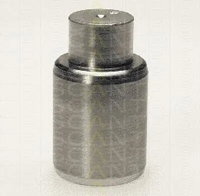 Поршень, корпус скобы тормоза TRISCAN купить