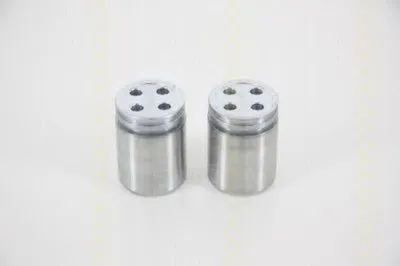 Поршень, корпус скобы тормоза TRISCAN купить