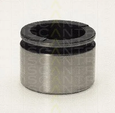 Поршень, корпус скобы тормоза TRISCAN купить