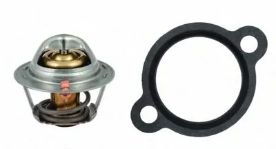 Термостат, охлаждающая жидкость HOFFER купить