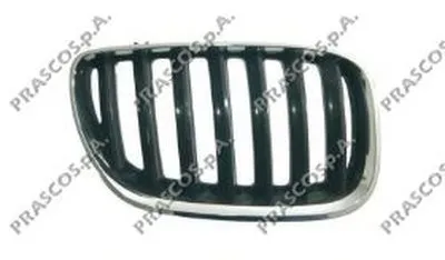 Решетка радиатора PRASCO купить