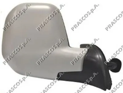 Наружное зеркало PRASCO купить