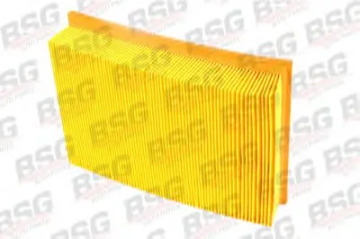 Воздушный фильтр BSG купить