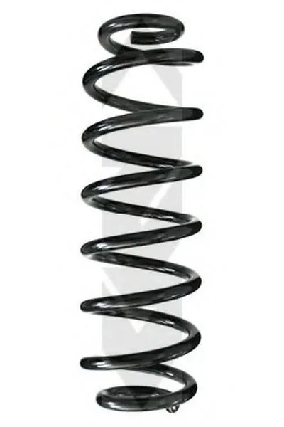 винтовая пружина SPIDAN купить