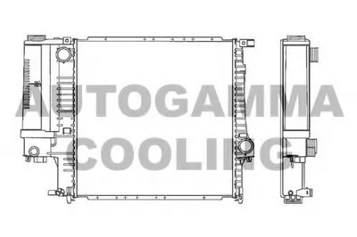 Радиатор, охлаждение двигателя AUTOGAMMA купить