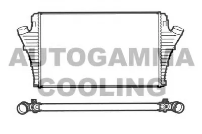 Интеркулер AUTOGAMMA купить
