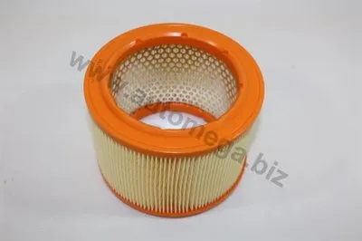 Воздушный фильтр AutoMega Premium AUTOMEGA купить