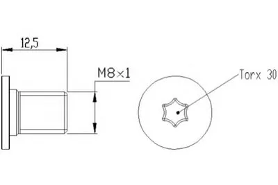 Болт, диск тормозного механизма HELLA PAGID купить