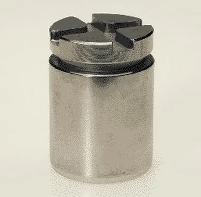 Поршень, корпус скобы тормоза BUDWEG CALIPER купить