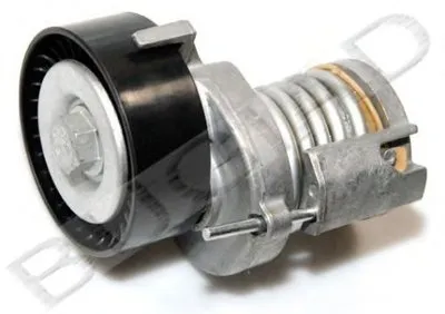 Натяжной ролик, поликлиновой  ремень BUGIAD купить