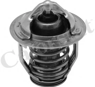 Термостат, охлаждающая жидкость CALORSTAT by Vernet купить