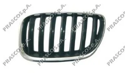 Решетка радиатора PRASCO купить