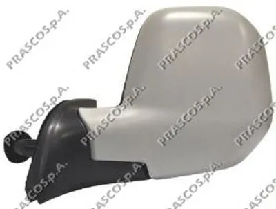 Наружное зеркало PRASCO купить