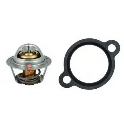 Термостат, охлаждающая жидкость FISPA купить