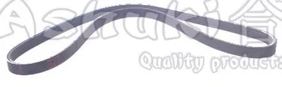 V-Ribbed Belts ASHUKI купить