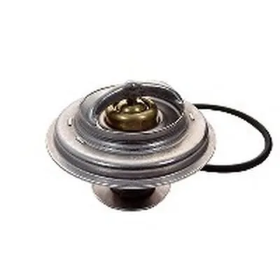 Термостат, охлаждающая жидкость FISPA купить