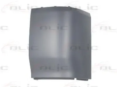 Буфер BLIC купить