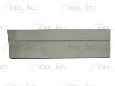 Дверь, кузов BLIC купить