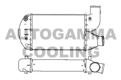 Интеркулер AUTOGAMMA купить