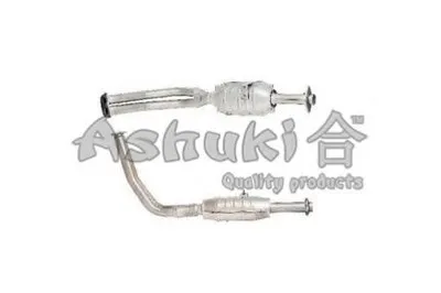 Катализатор для переоборудования ASHUKI купить