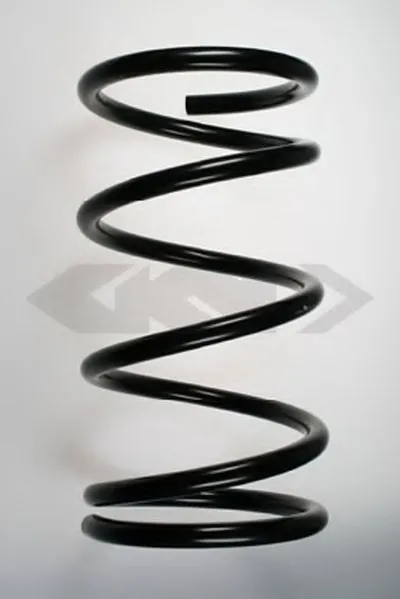 винтовая пружина SPIDAN купить