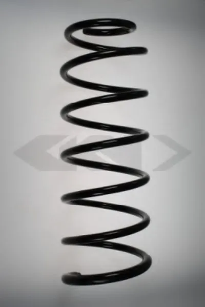 винтовая пружина SPIDAN купить