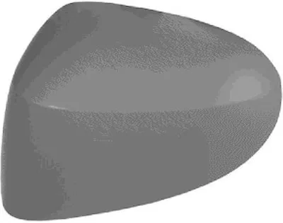 Покрытие, внешнее зеркало VAN WEZEL купить