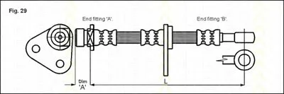 Тормозной шланг TRISCAN купить