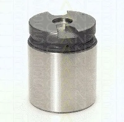 Поршень, корпус скобы тормоза TRISCAN купить