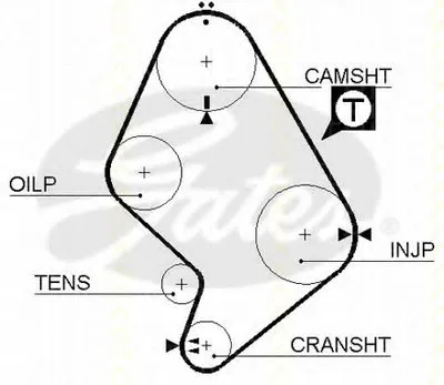 Ремень ГРМ TRISCAN купить