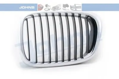 Решетка радиатора JOHNS купить