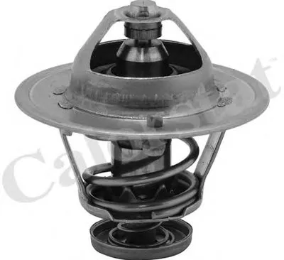 Термостат, охлаждающая жидкость CALORSTAT by Vernet купить