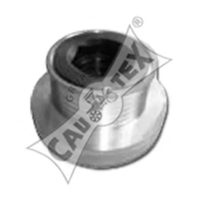 Ременный шкив, генератор CAUTEX купить