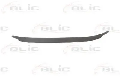 Спойлер BLIC купить