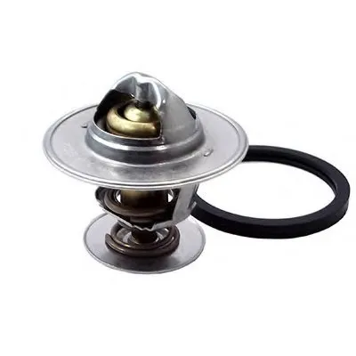 Термостат, охлаждающая жидкость FISPA купить