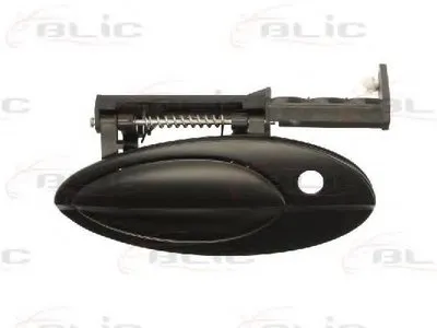 Ручка двери BLIC купить