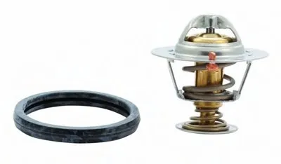 Термостат, охлаждающая жидкость HOFFER купить