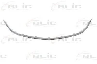 Облицовка / защитная накладка, облицовка радиатора BLIC купить