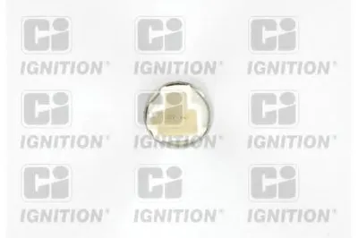 Переключатель управления, сист. регулирования скорости CI QUINTON HAZELL купить