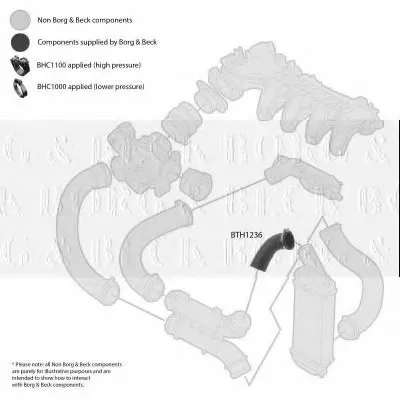Трубка нагнетаемого воздуха BORG & BECK купить