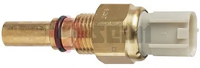 Термовыключатель, вентилятор радиатора; Термовыключатель, вентилятор кондиционера SEIM купить