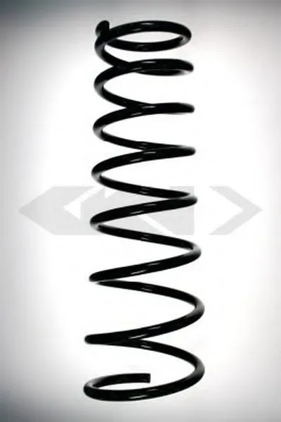 винтовая пружина SPIDAN купить