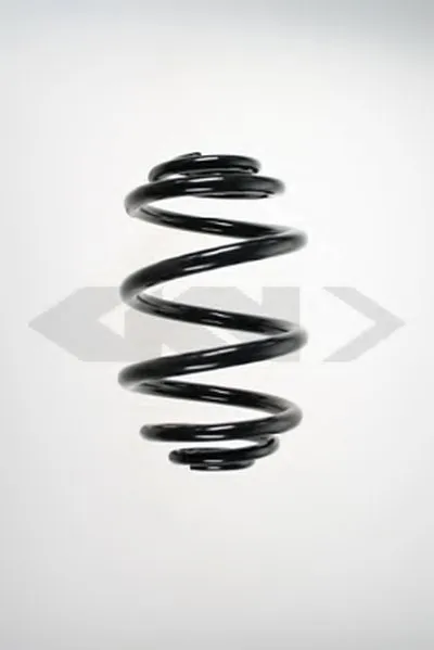 винтовая пружина SPIDAN купить