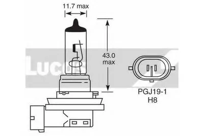 Лампа накаливания, противотуманная фара; Лампа накаливания, стояночный / габаритный огонь LUCAS ELECTRICAL купить