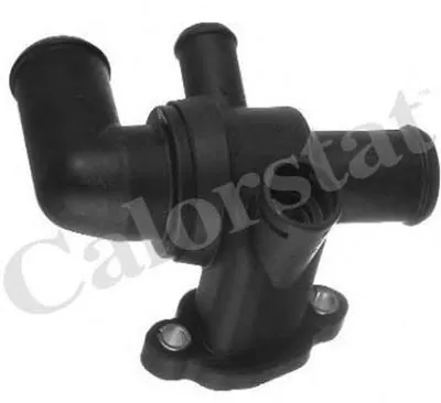 Термостат, охлаждающая жидкость CALORSTAT by Vernet купить