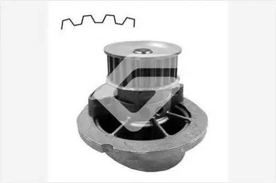 Водяной насос HUTCHINSON купить