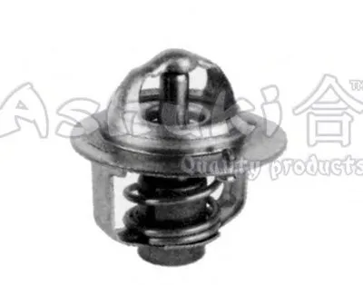 Термостат, охлаждающая жидкость ASHUKI купить